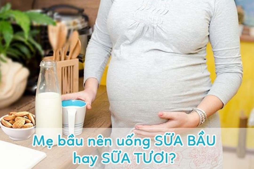 Sữa tươi liệu có phù hợp cho phụ nữ đang mang thai?